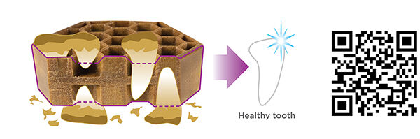 !PR17 - Pet’s Best Life Yummy Combs Ingenious Flossing Treats.jpg